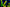 Radioactive Mille T348
