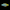 Lennardi Wrasse